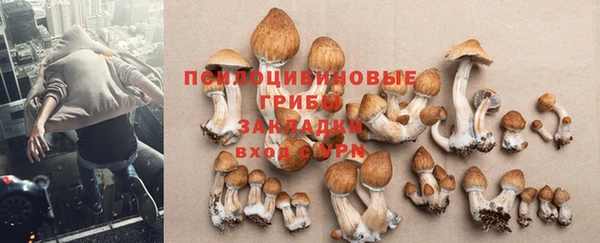 бутират Аркадак