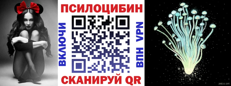 Псилоцибиновые грибы GOLDEN TEACHER  что такое   блэк спрут зеркало  Тимашёвск 